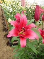 [4155 Believe Mak No102.JPG]